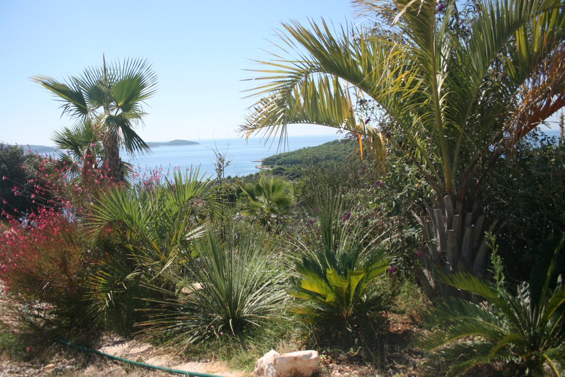 villa zen gardens